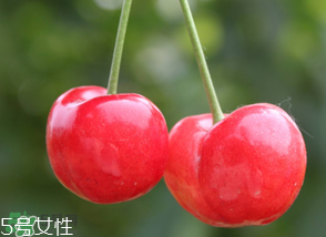 櫻桃籽有毒嗎？櫻桃籽能吃嗎？
