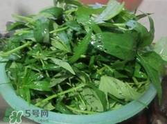 番薯葉怎么種？怎樣種番薯葉