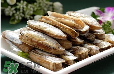 蟶子是海鮮嗎？蟶子是海鮮還是河鮮