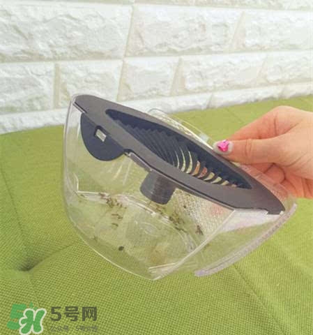 inadays滅蚊燈有用嗎？inadays滅蚊燈有效果嗎？