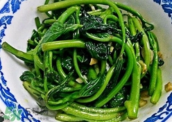 苕尖怎么摘？苕尖怎么擇