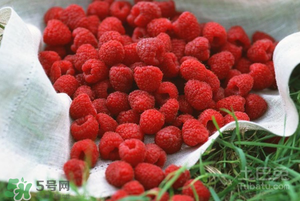 刺泡怎么保存？刺泡保存方法