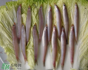 青島面條魚是什么魚？青島面條魚叫什么