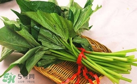 苕尖怎么炒？苕尖的做法