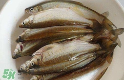 白條魚怎么做好吃？白條魚怎么吃好吃