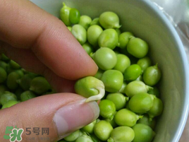 新鮮豌豆發(fā)芽了能吃嗎？豌豆發(fā)芽了還能吃嗎？