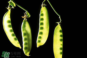 嫩豌豆能生吃嗎？為什么嫩豌豆可以生吃？