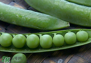 剝好的豌豆怎么保存？剝好的豌豆米怎么保存？