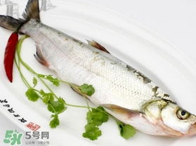 白條魚怎么做好吃？白條魚怎么吃好吃