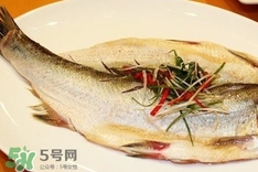 白條魚怎么做好吃？白條魚怎么吃好吃