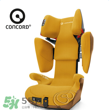 concord中文是什么？concord的中文名字怎么翻譯？