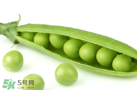 生豌豆有毒嗎？豌豆生吃有毒嗎？
