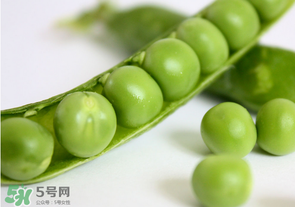 生豌豆有毒嗎？豌豆生吃有毒嗎？