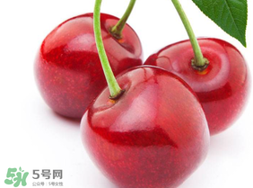 新鮮櫻桃如何保存？新鮮櫻桃能放多久？