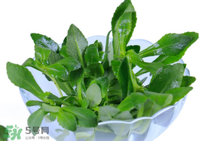 救心菜有毒嗎？救心菜怎么吃沒毒？