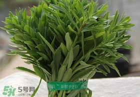 救心菜有毒嗎？救心菜怎么吃沒毒？