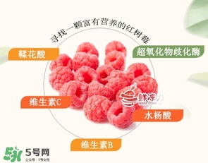 樹莓可以生吃嗎？樹莓怎么吃？