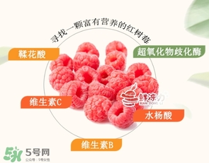 樹莓怎么保存？樹莓保存方法