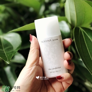 蘇菲娜白蕾絲多少錢？蘇菲娜白蕾絲日本價格