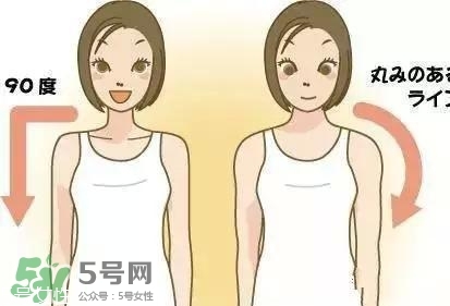 天鵝臂是什么？天鵝臂有用嗎