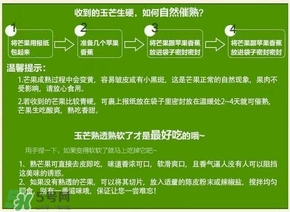 貴妃芒果硬的能吃嗎？貴妃芒果青的能吃嗎