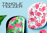 tangle teezer火烈鳥梳子多少錢？tangle teezer和skinnydip合作梳
