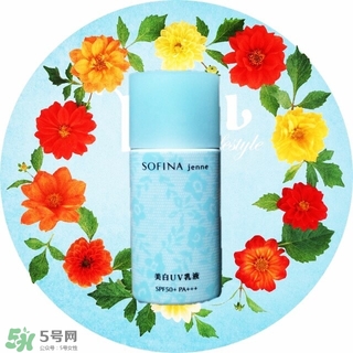 蘇菲娜藍(lán)蕾絲和藍(lán)小花哪個(gè)好？蘇菲娜藍(lán)蕾絲和藍(lán)小花對(duì)比