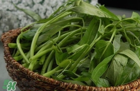 夏天種什么蔬菜？夏天適合種什么蔬菜