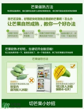 貴妃芒果硬的能吃嗎？貴妃芒果青的能吃嗎