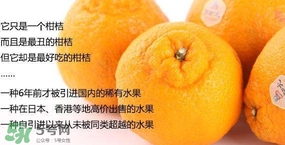 丑八怪水果多少錢(qián)一斤？不知火雜柑一斤多少錢(qián)