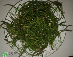 陽溝菜孕婦可以吃嗎？孕婦能吃陽溝菜嗎？