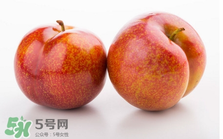 三華李孕婦可以吃嗎？三華李孕婦能吃嗎