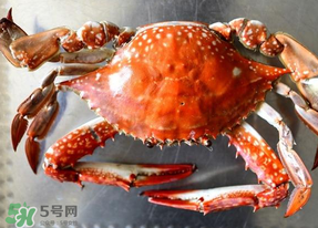 六月份有螃蟹嗎？六月份吃什么螃蟹？