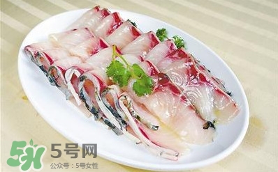 生魚是什么魚？生魚片是什么魚