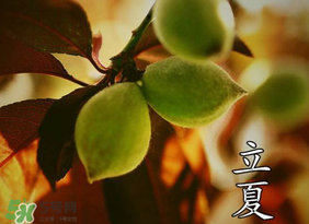 立夏吃什么水果？立夏吃什么水果好？