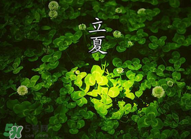 立夏吃什么水果？立夏吃什么水果好？