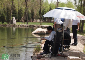 立夏好釣魚嗎？立夏怎么釣魚？
