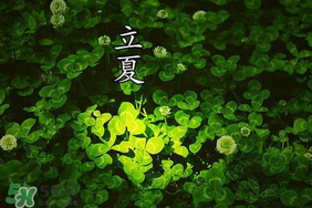 立夏和夏至有什么區(qū)別？立夏和夏至的區(qū)別