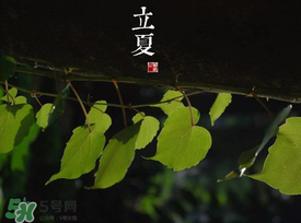 2017年立夏會下雨嗎？2017年立夏下雨好嗎？