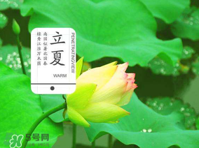 2017年立夏會下雨嗎？2017年立夏下雨好嗎？