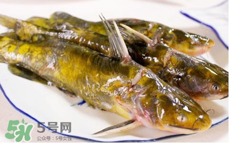 嘎魚怎么做最好吃？嘎魚的做法大全
