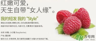 樹莓可以放冰箱嗎？樹莓可以保存幾天