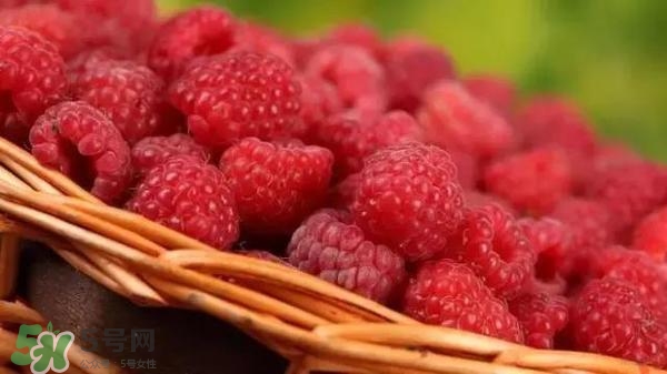 樹莓可以直接吃嗎？樹莓里的小籽能吃嗎？