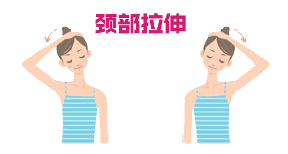 天鵝頸是什么樣的？天鵝頸怎么練？