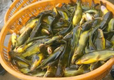 黃顙魚不能和什么一起吃？黃顙魚不能與什么同吃？