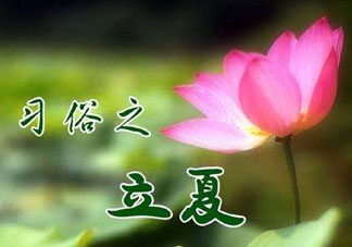 立夏和夏至有什么區(qū)別？立夏和夏至的區(qū)別