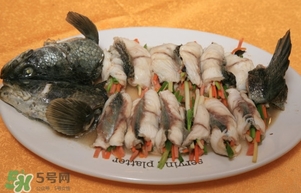 生魚是什么魚？生魚片是什么魚