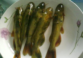 嘎魚是海魚嗎？嘎魚是什么魚