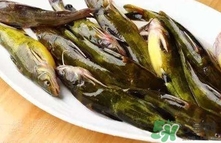 嘎魚(yú)是海魚(yú)嗎？嘎魚(yú)是什么魚(yú)
