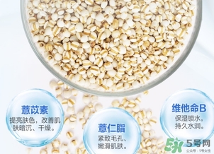 薏仁水可以天天敷嗎？薏仁水幾天敷一次？